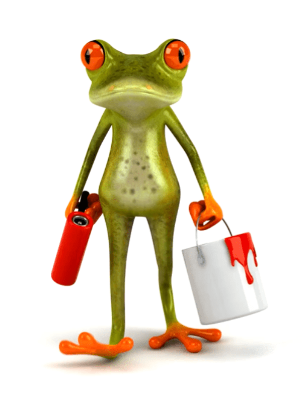 decoration services frog